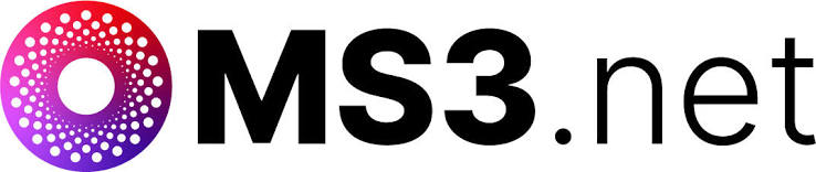 MS3 Networks